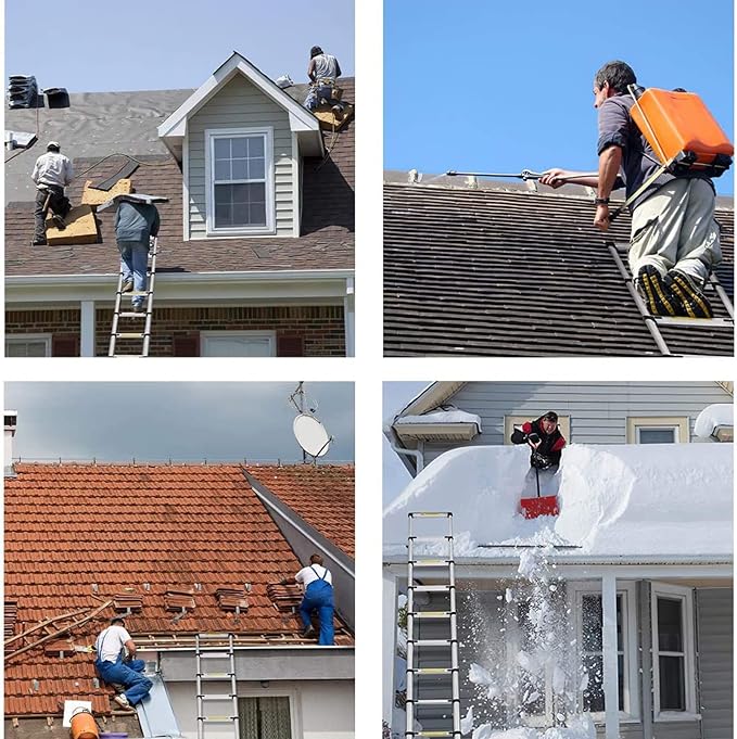 Échelle extensible de 6 mètres 3.0